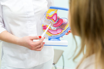 A Pelvic Floor Physical Therapy Approach for Vulvodynia