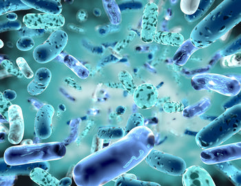 Charting New Territories: Mapping the Vaginal Microbiome on a Grand Scale