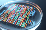Differentiating Diagnostic Value: Broad‑Spectrum qPCR vs. Shotgun Metagenomics in Vaginal Microbiome Testing